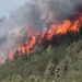 Rinaturalizzazione e miglioramento di superfici forestali: contributi fino a 150.000 euro al fine di aumentarne la resilienza contro gli incendi
